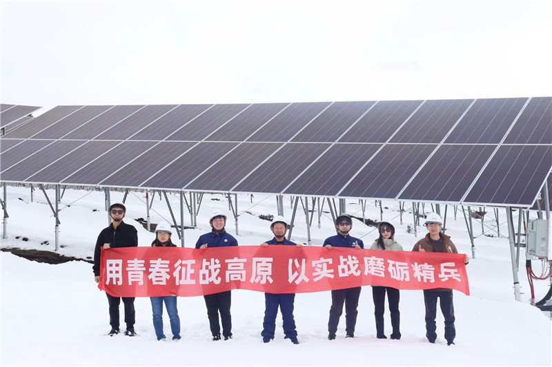 精品久久久久久无码中文字幕一区