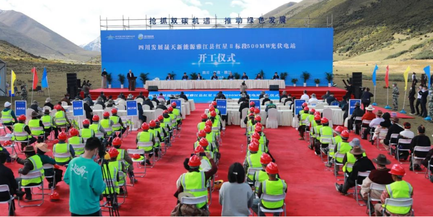 精品久久久久久无码中文字幕一区