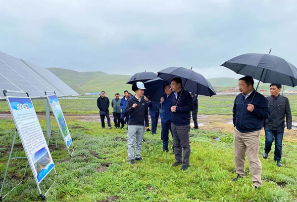 精品久久久久久无码中文字幕一区