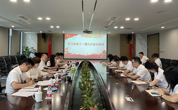 精品久久久久久无码中文字幕一区