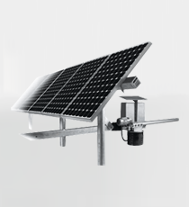 精品久久久久久无码中文字幕一区