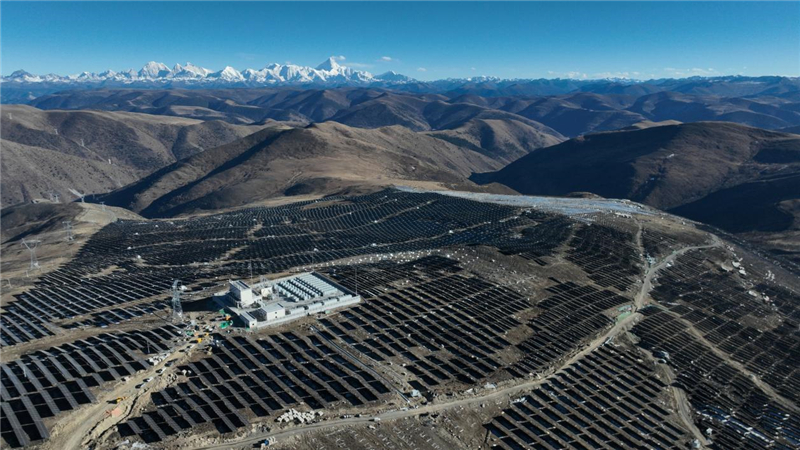 精品久久久久久无码中文字幕一区