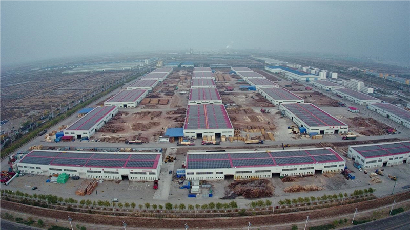 精品久久久久久无码中文字幕一区