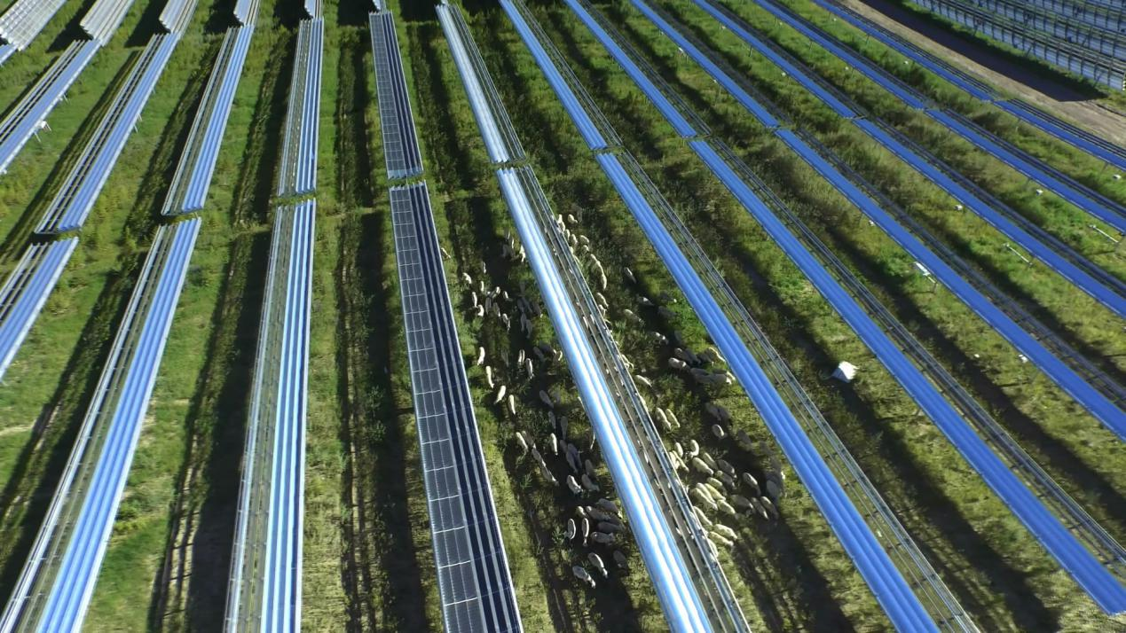 精品久久久久久无码中文字幕一区