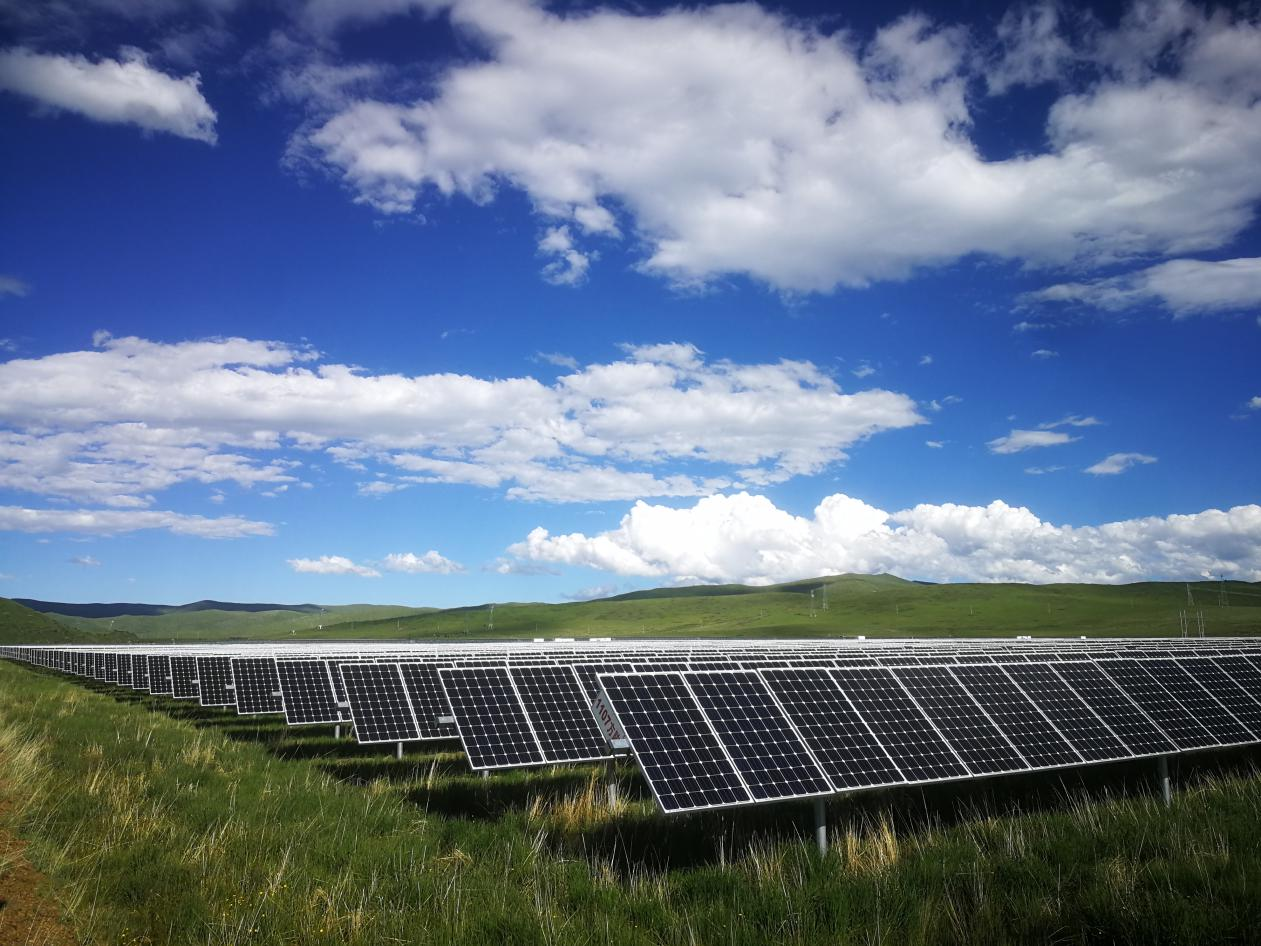 精品久久久久久无码中文字幕一区