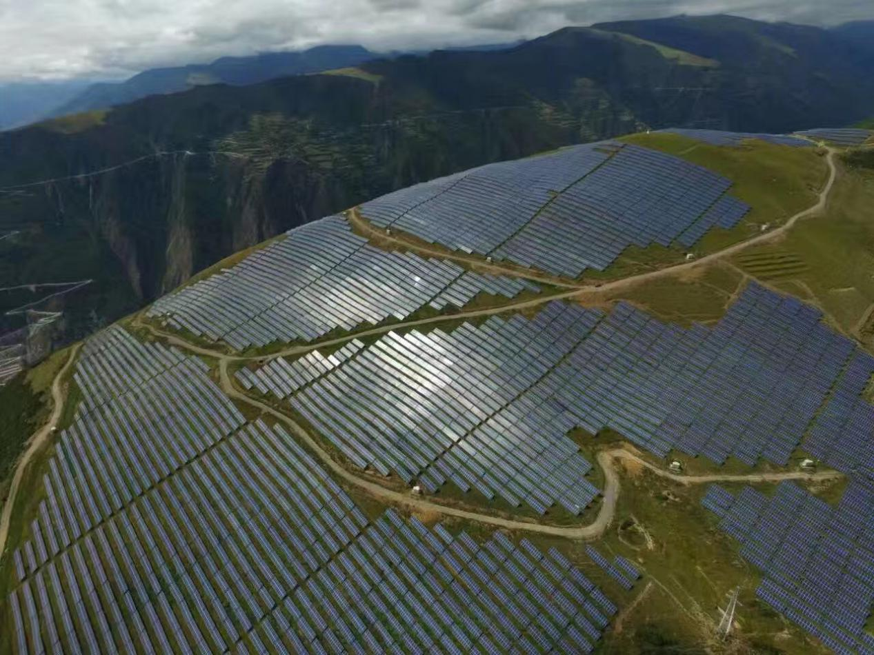 精品久久久久久无码中文字幕一区