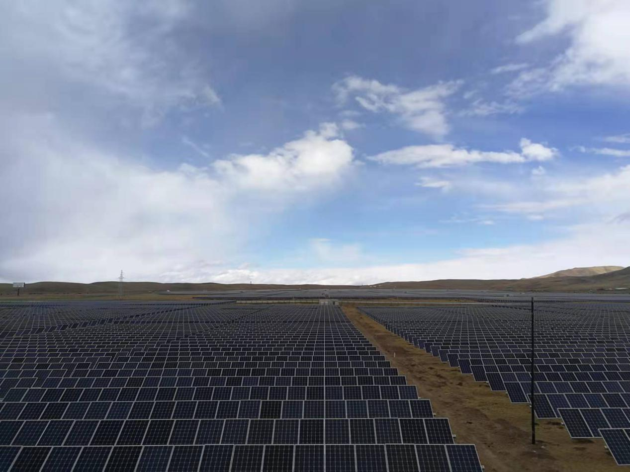 精品久久久久久无码中文字幕一区