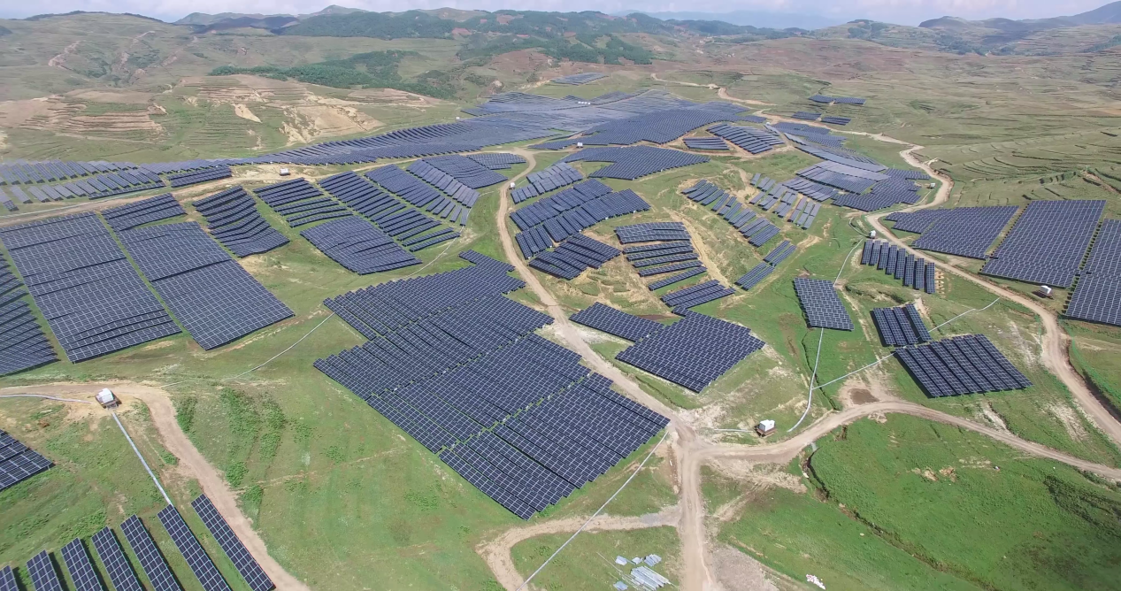 精品久久久久久无码中文字幕一区