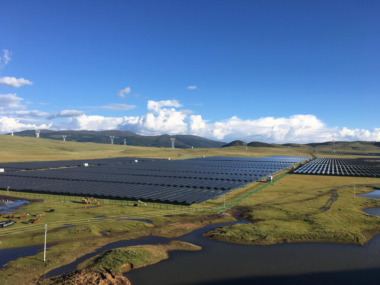 精品久久久久久无码中文字幕一区