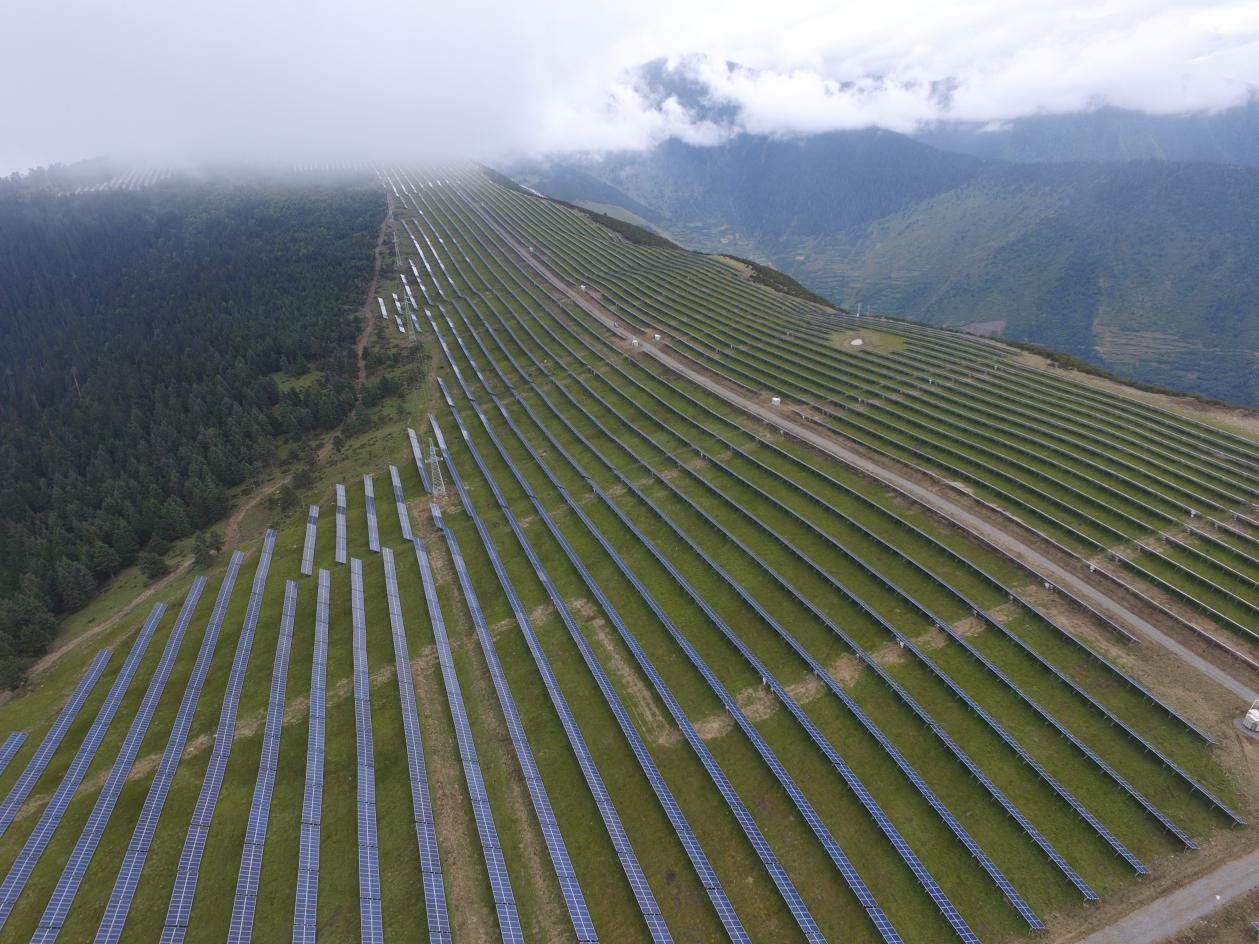 精品久久久久久无码中文字幕一区