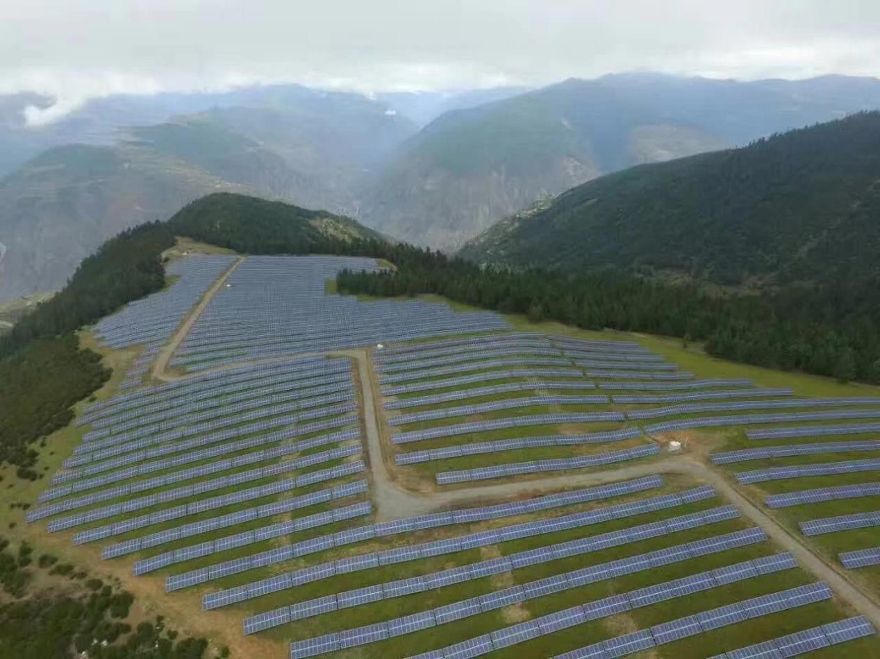 精品久久久久久无码中文字幕一区