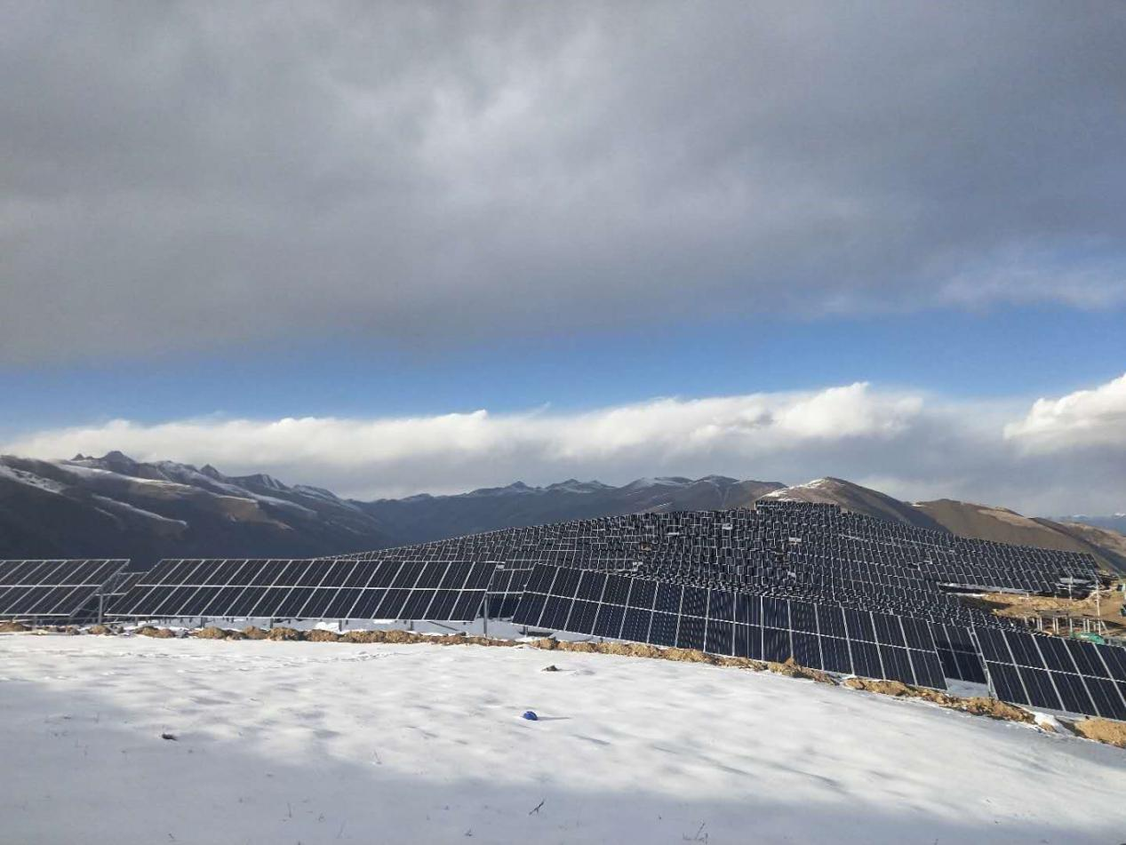 精品久久久久久无码中文字幕一区