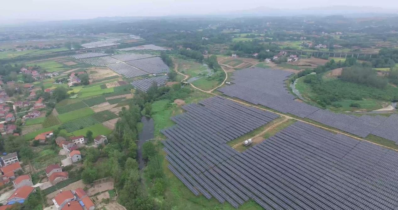 精品久久久久久无码中文字幕一区