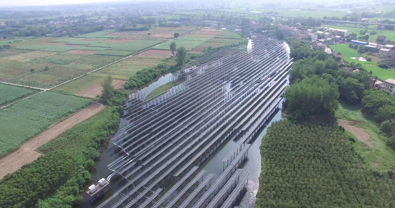 精品久久久久久无码中文字幕一区