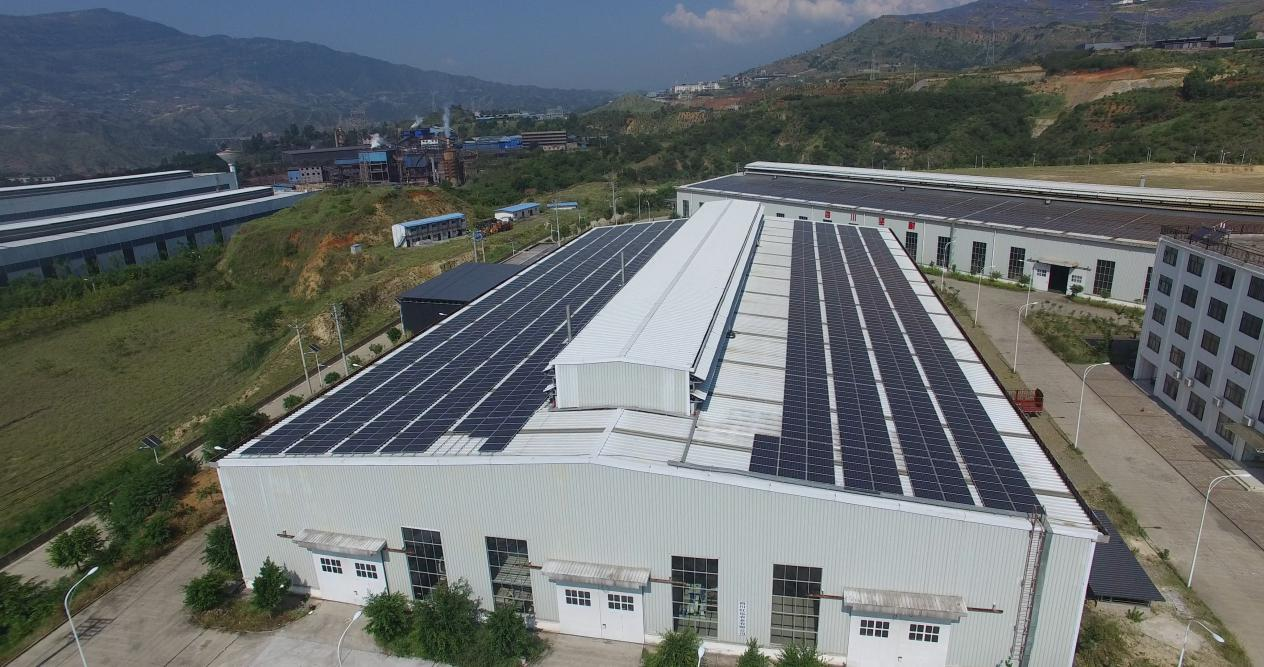 精品久久久久久无码中文字幕一区