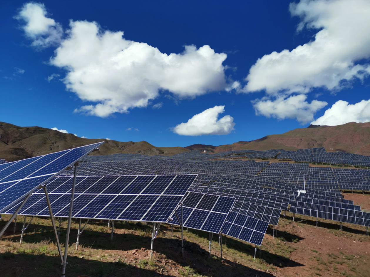 精品久久久久久无码中文字幕一区