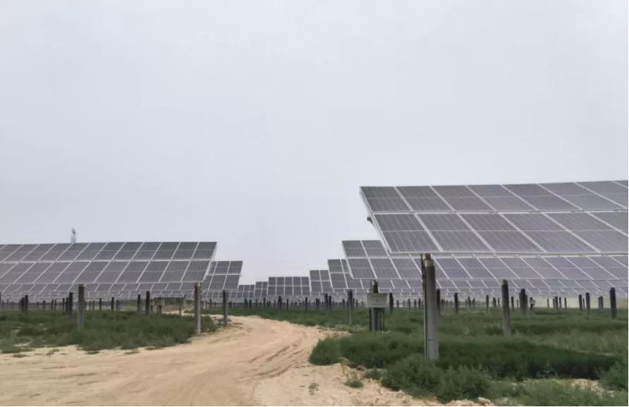 精品久久久久久无码中文字幕一区