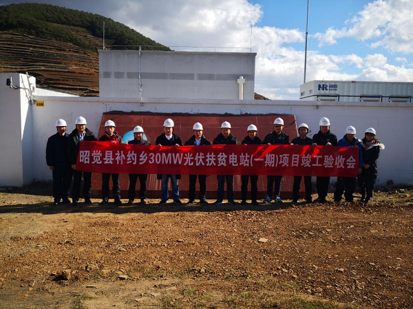 精品久久久久久无码中文字幕一区