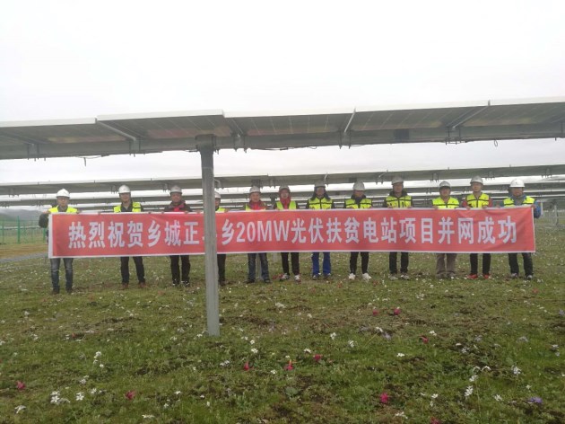 精品久久久久久无码中文字幕一区