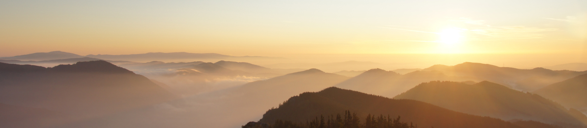 精品久久久久久无码中文字幕一区